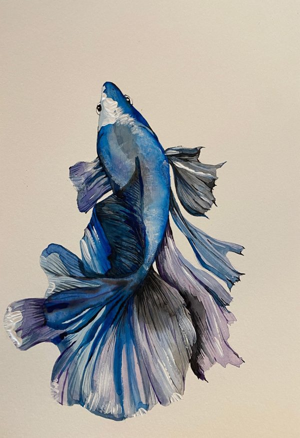 Fish Art Print