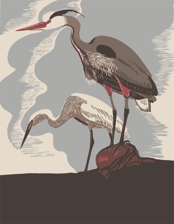 Heron Print